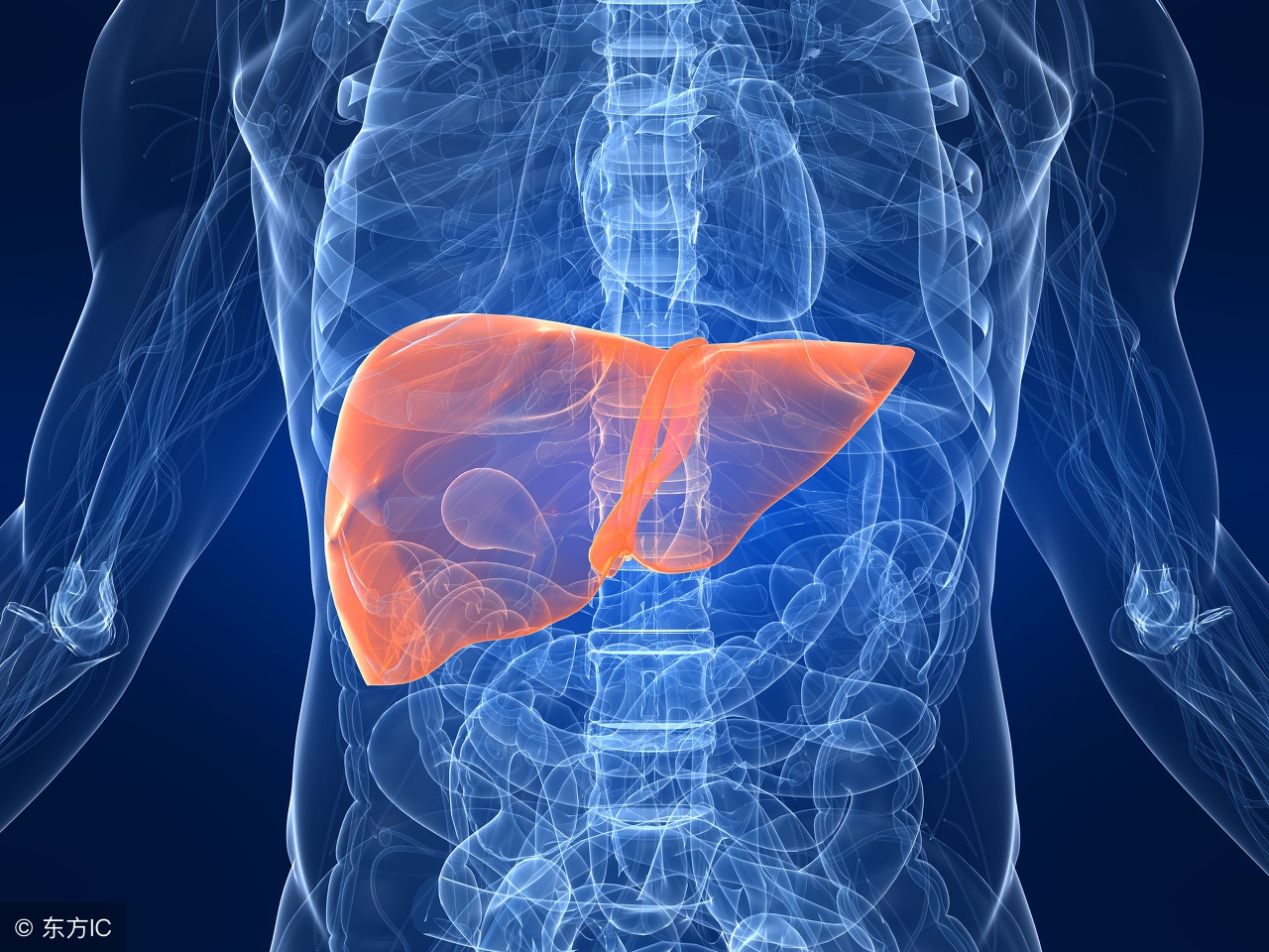 乙肝药替诺福韦能在其他医院买吗,乙肝药替诺福韦吃多久能改善