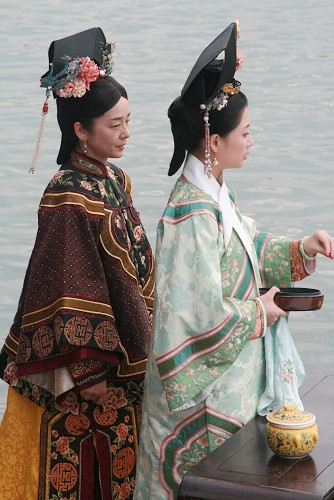 中国锦鲤为什么那么火,最近锦鲤怎么那么火