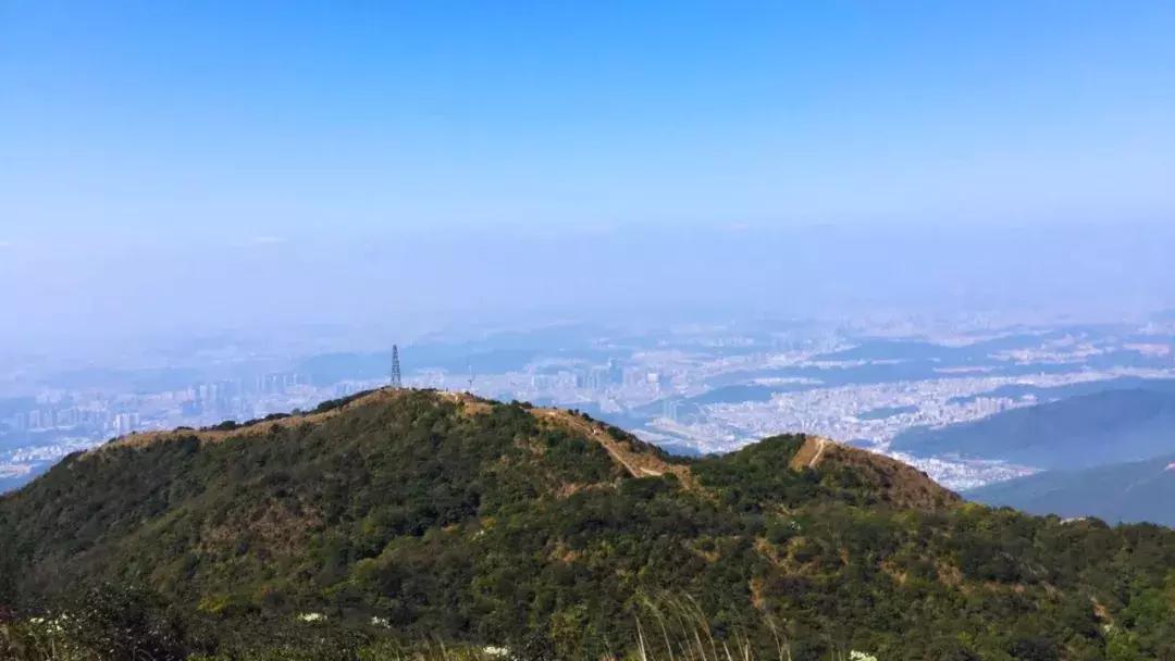 深圳向世界发出邀请,向世界推介深圳