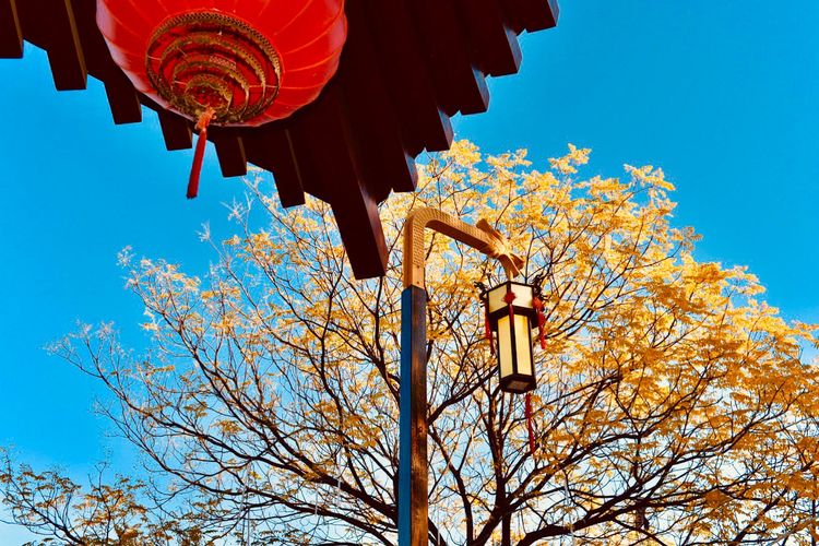 秋到上阳宫，黄叶蓝天高宫阙，皇帝都赞的美景，免费你都没去看？