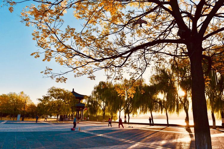 秋到上阳宫，黄叶蓝天高宫阙，皇帝都赞的美景，免费你都没去看？