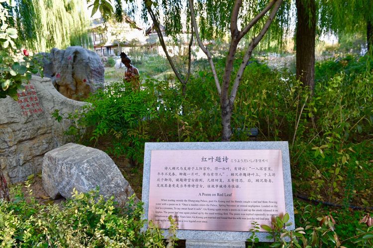 秋到上阳宫，黄叶蓝天高宫阙，皇帝都赞的美景，免费你都没去看？