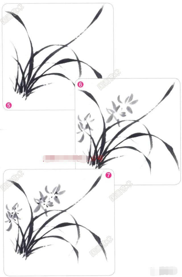 写意兰花的基本画法视频,写意兰花的画法技法视频