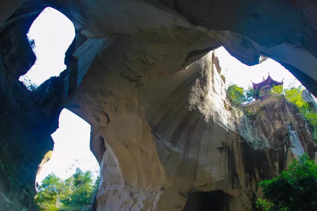 娴欐睙鍙板窞瀹濊棌鐢峰,鍙板窞瀹濊棌鐢风敓