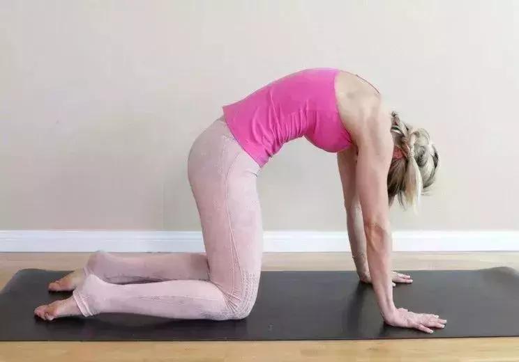 女人每天100个排毒养颜健身动作,懒人练什么动作可以紧致皮肤