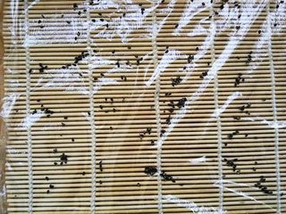 kfc肉酥油条饭团的做法,kfc肉松油条饭团怎么做