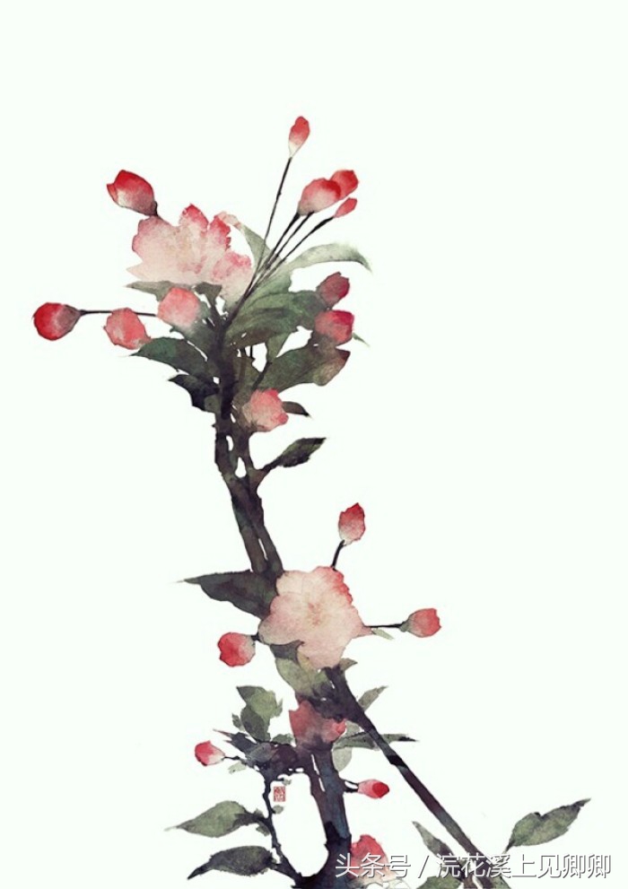 似花还似非花下句是什么,似花还似非花全诗的情感