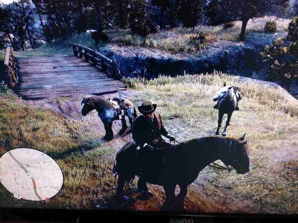 荒野大镖客救赎1解说完整版,荒野大镖客救赎2全程攻略