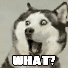 一个区块怎么生存下去,一个区块生存条件