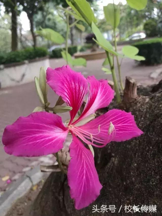 小小改变大大收获的感悟,小小改变带来大大不同