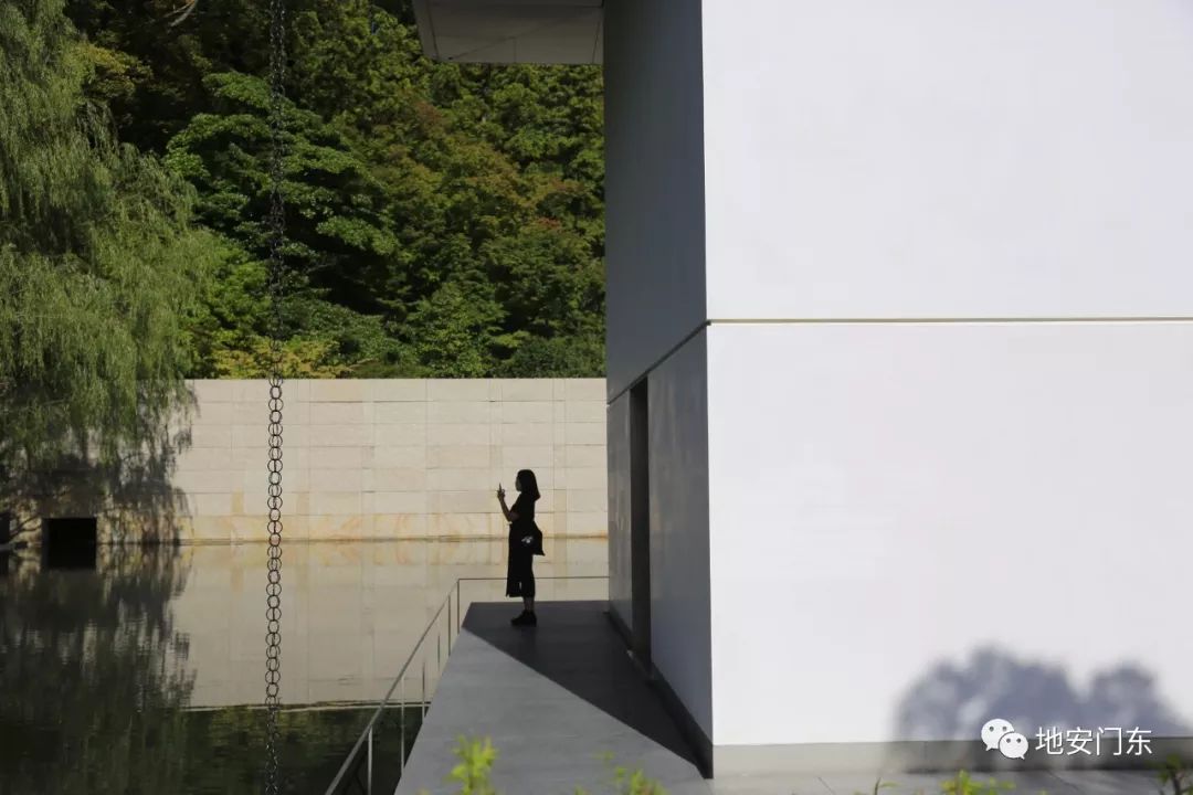 日本高品质小锦鲤,日本金泽市北陆