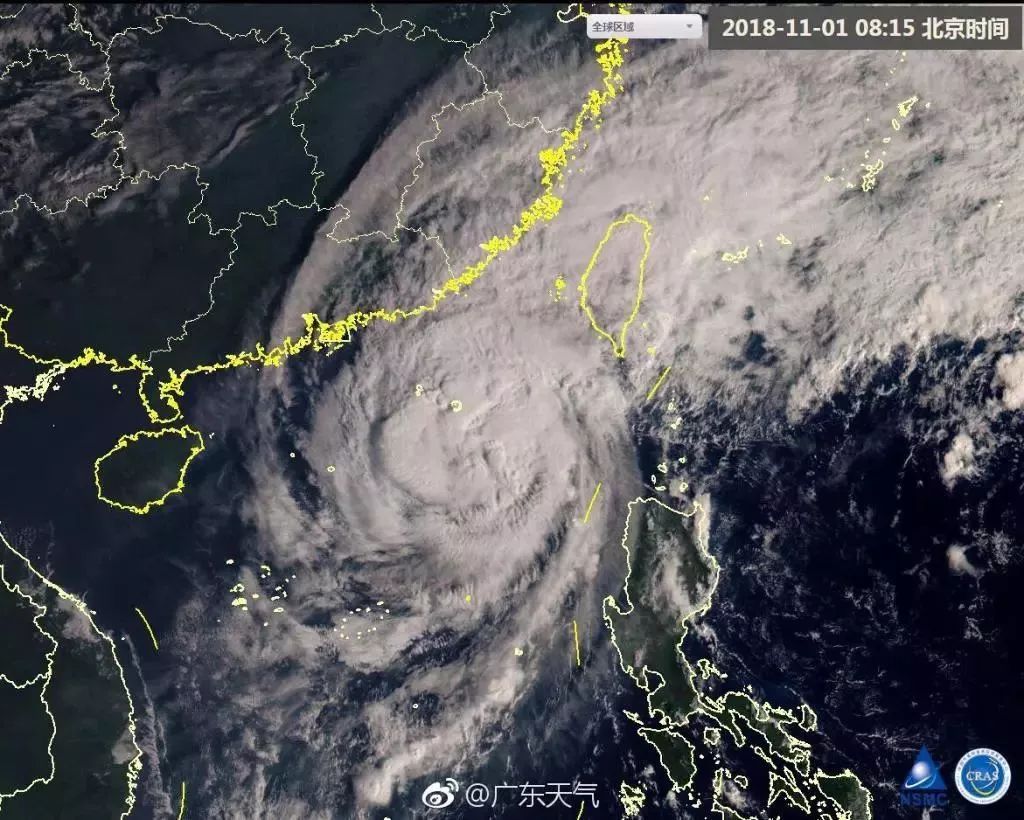 怒!名牌专坑中国游客?正品应该这样买!