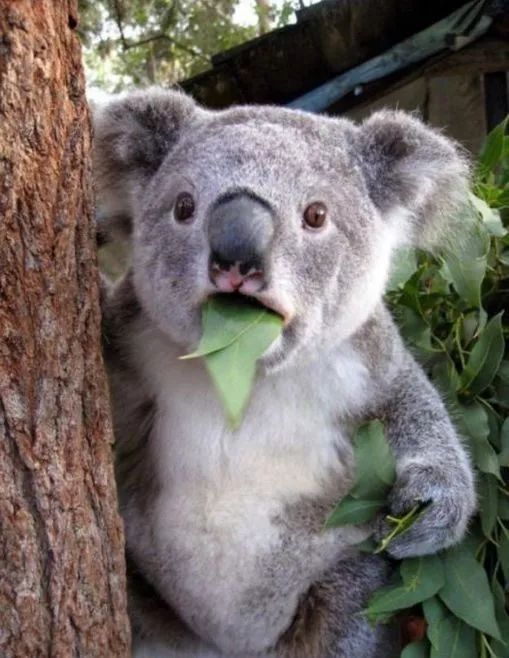 怒！名牌专坑中国游客？正品应该这样买！