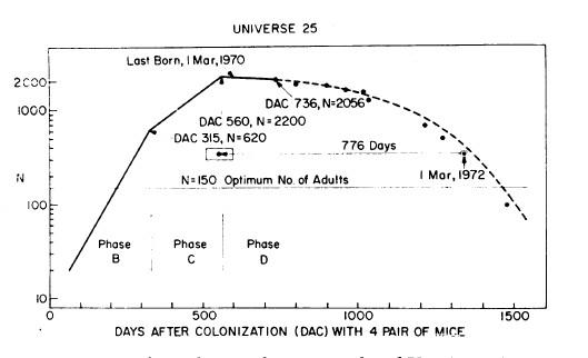 一场预言人类灭亡的老鼠实验,一场实验暴露人性