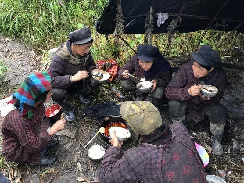 新鲜龙须笋的家常做法,龙须笋的正确食用方法