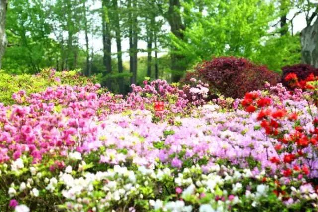 红蓝绿黑你喜欢什么色,红绿蓝清新配色