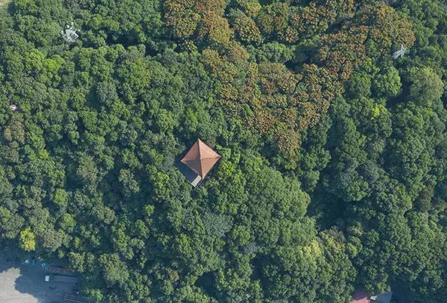 红蓝绿黑你喜欢什么色,红绿蓝清新配色