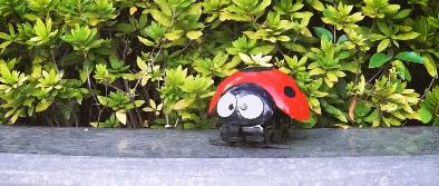 盘点那些奇葩又可爱的小玩具,那些恐怖又奇葩的玩具