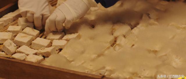 霉豆腐的乡愁,乡愁做的霉豆腐