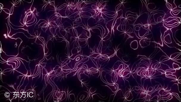 推荐天津特产有哪些,天津特色特产有哪些