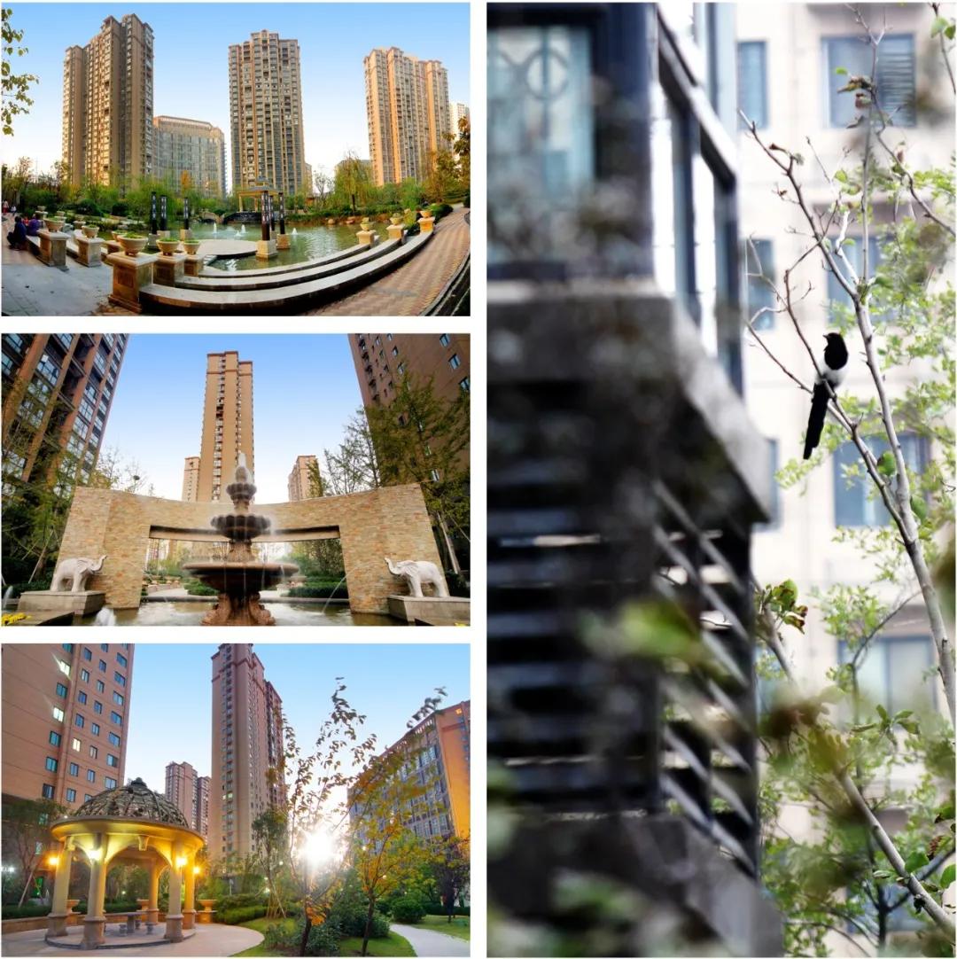 被市场深刻教育的开封购房者们，是否真的还有明天？