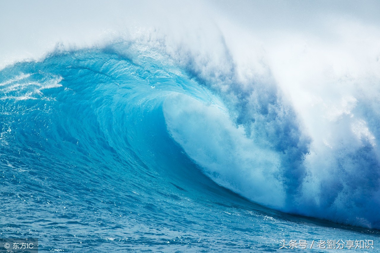 五年级上册语文期末复习重点资料,五年级语文上册期末复习重点必考