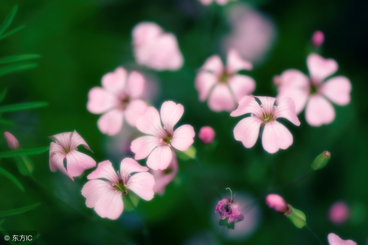 美图秀秀意外退出,美图秀秀变现攻略