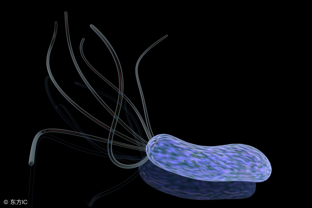 治疗幽门螺旋杆菌最有效的药,根除幽门螺旋杆菌最好的药是什么