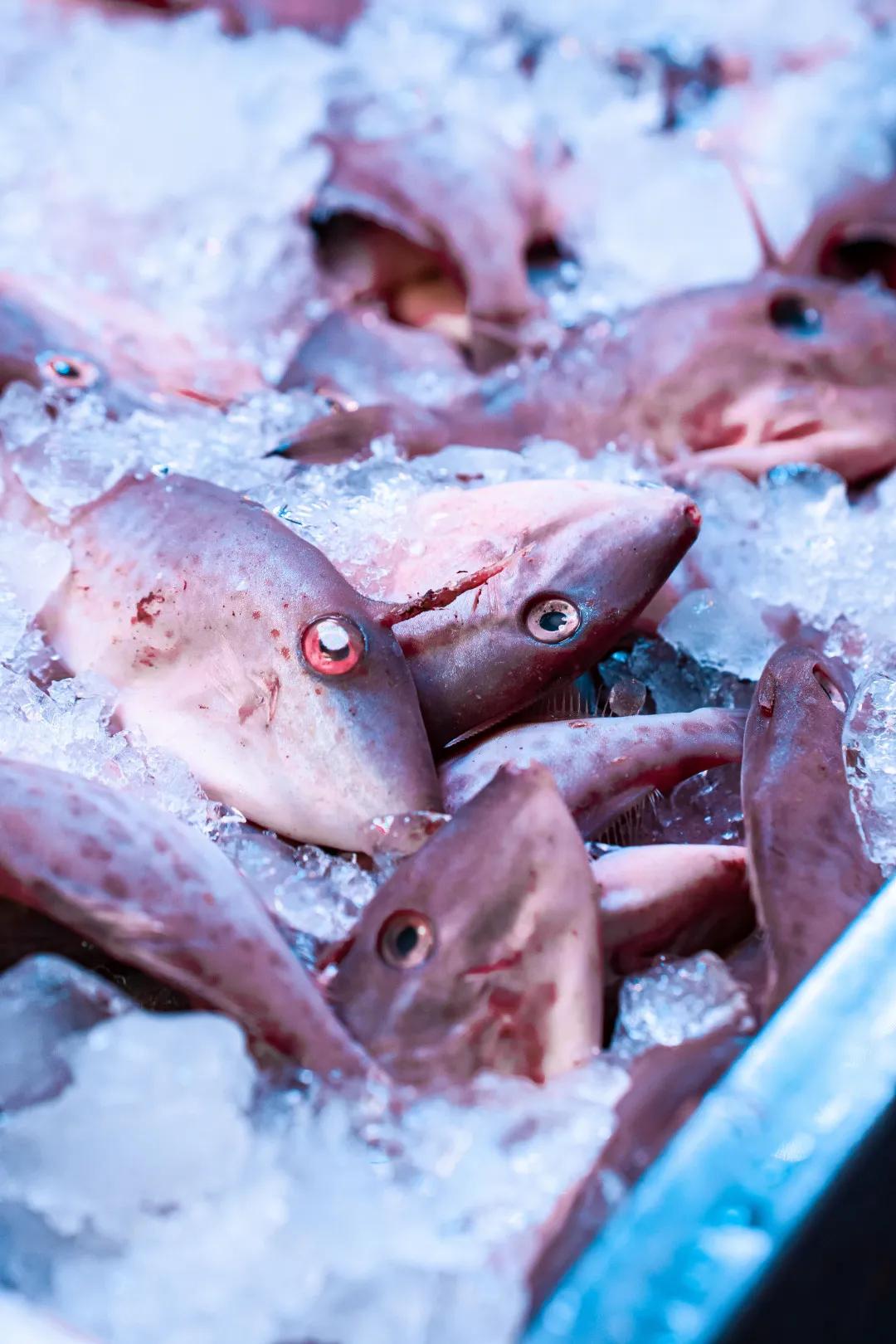 深圳宝安农批市场是几级,宝安农批市场在什么街道