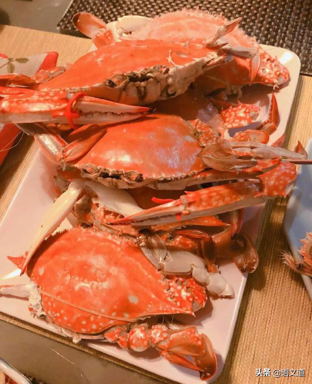 辽宁省大连市算不算东北人,大连有几个东北人