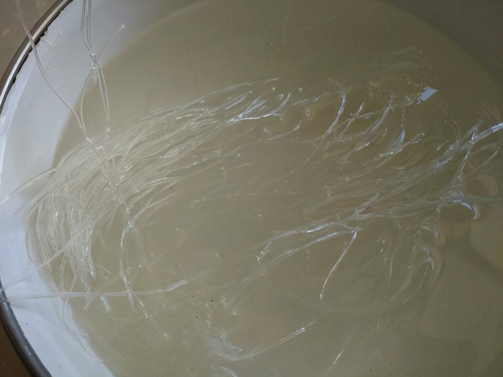 蒜蓉粉丝蒸扇贝做法扇贝怎么处理,已经蒸熟的扇贝能不能做蒜蓉扇贝