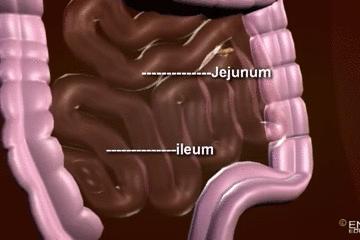 浣犵殑韬綋鍒板簳闀夸粈涔堟牱,浣犵煡閬撲綘鐨勮韩浣撻暱鍟ユ牱瀛愬悧