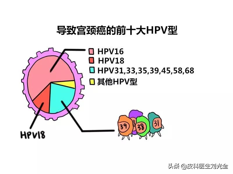 感染了HPV的体征,怎么样知道口腔咽喉感染了hpv