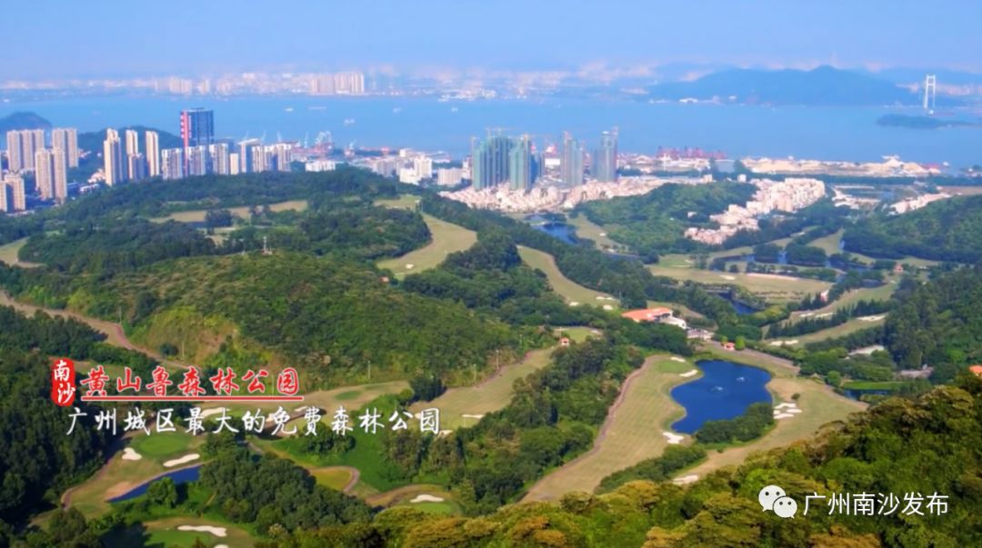 南沙真的美,南沙以后到底会怎么样