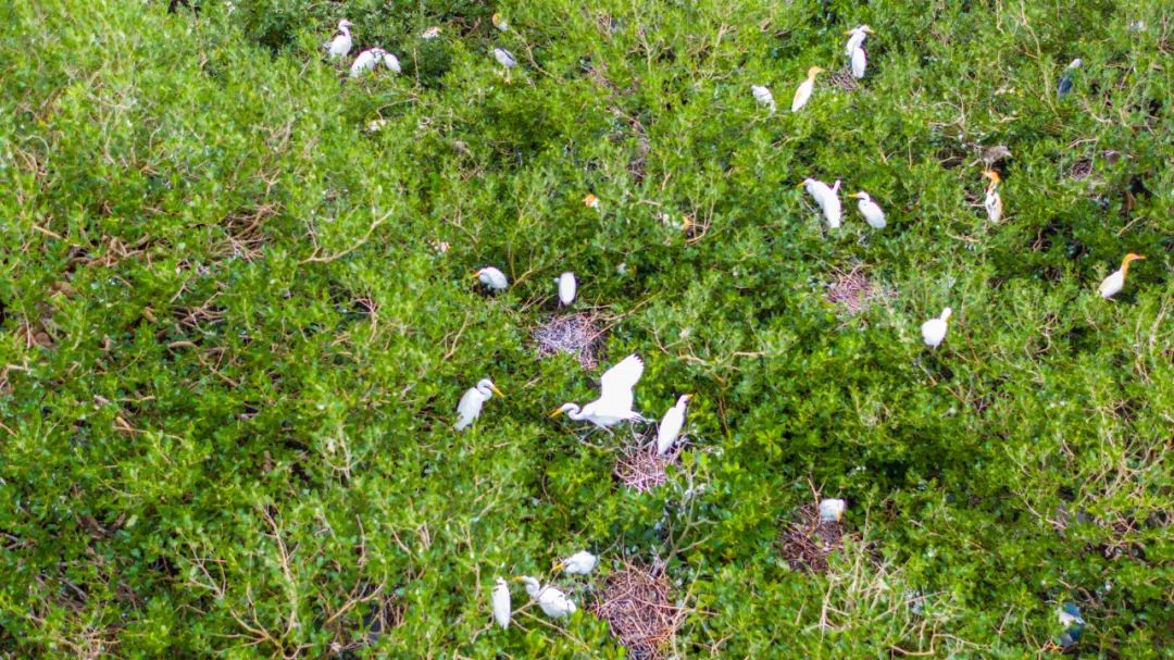 惠州一知名景区恢复开放,惠州这些场所有序恢复开放