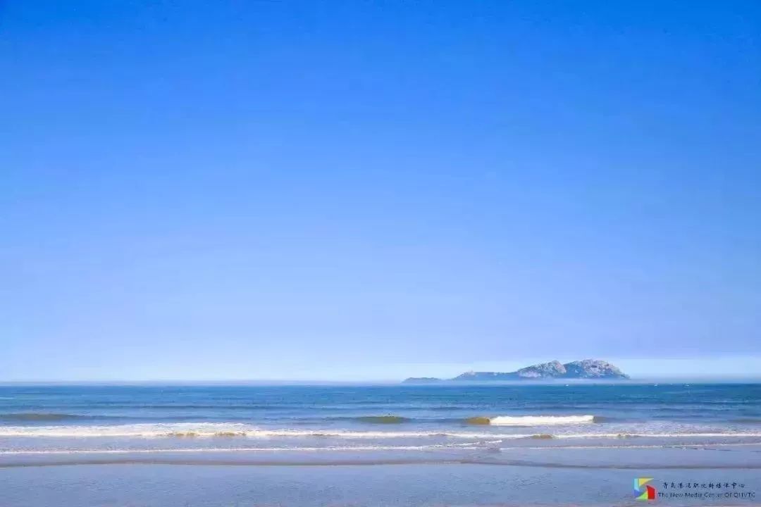 选择青岛港湾的理由,山东职业学院与青岛港湾职业学院