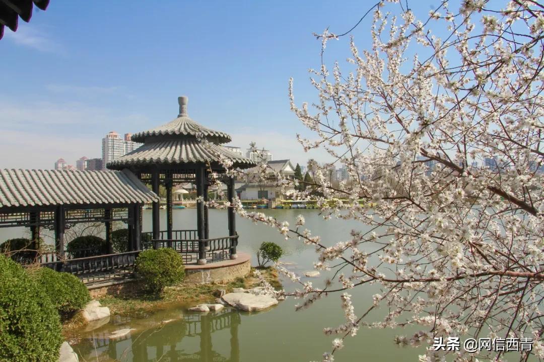 天津2022哪些公园恢复开放,天津临港亲海公园什么时候开放