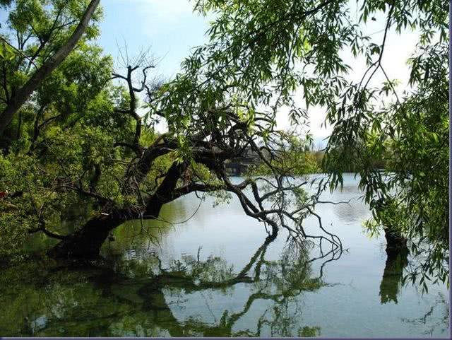 不忘初心方得成功诗句,不忘初心的唯美古诗词