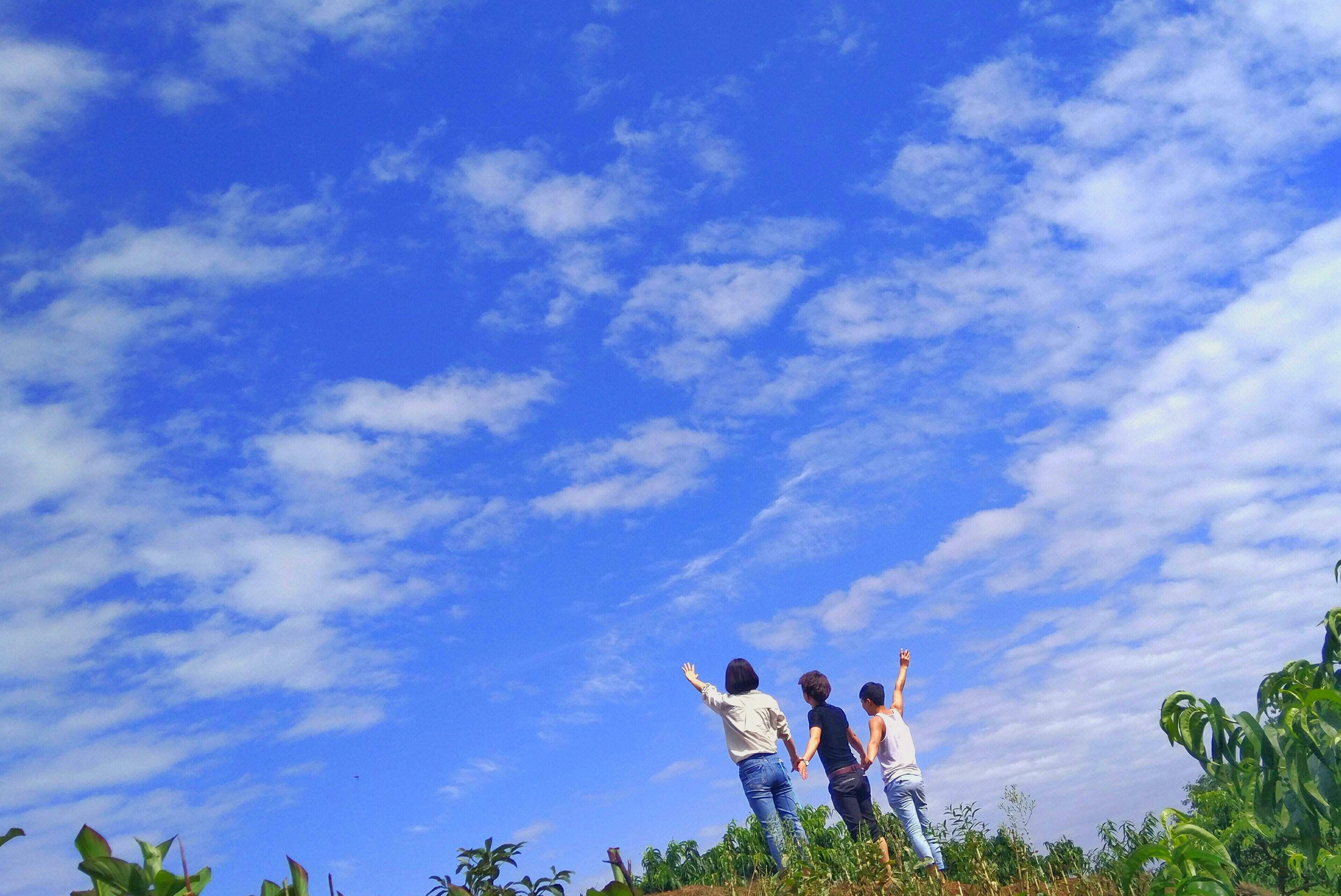 元曲最经典的一首诗,元曲最经典的十首诗