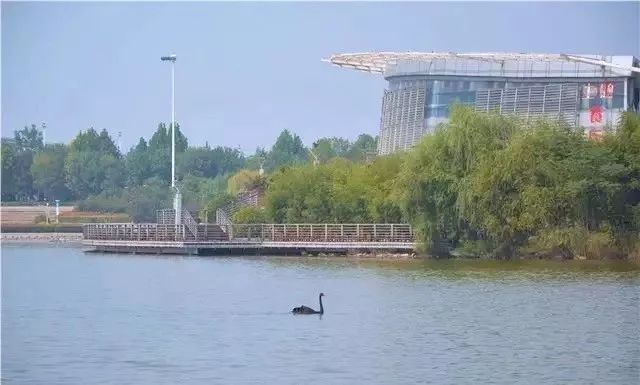 郑州未来发展趋势在哪个区,郑州2019年有啥规划没