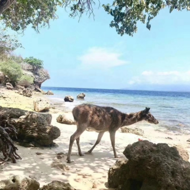 第一次邂逅就去了酒店,巴厘岛双人游定制游