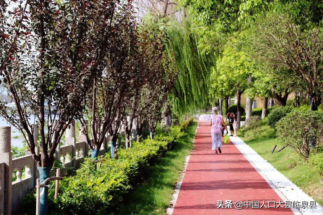 临泉县流鞍河规划,安徽临泉流鞍河在修么