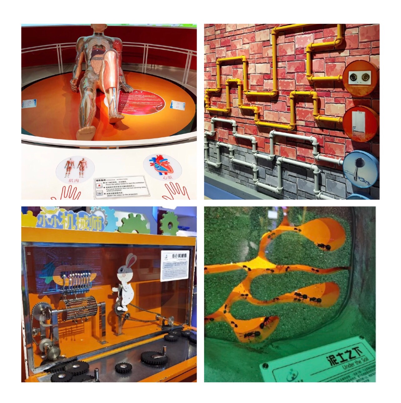 最新广东亲子游好玩的地方推荐,推荐广东亲子游好玩的地方