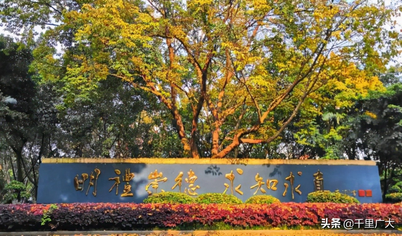 重庆最好的4所重点大学,重庆所有十大最好学校