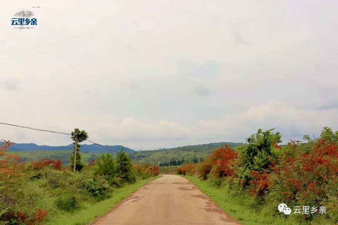 舌尖上的非物质文化遗产,昆明寻甸非遗牛干巴图片