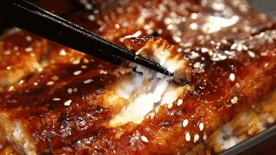 为什么鳗鱼产卵后就会死亡,鳗鱼产卵后为什么会死亡