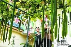 兄弟两为心爱之人大打出手,弟兄俩大打出手父母偏心