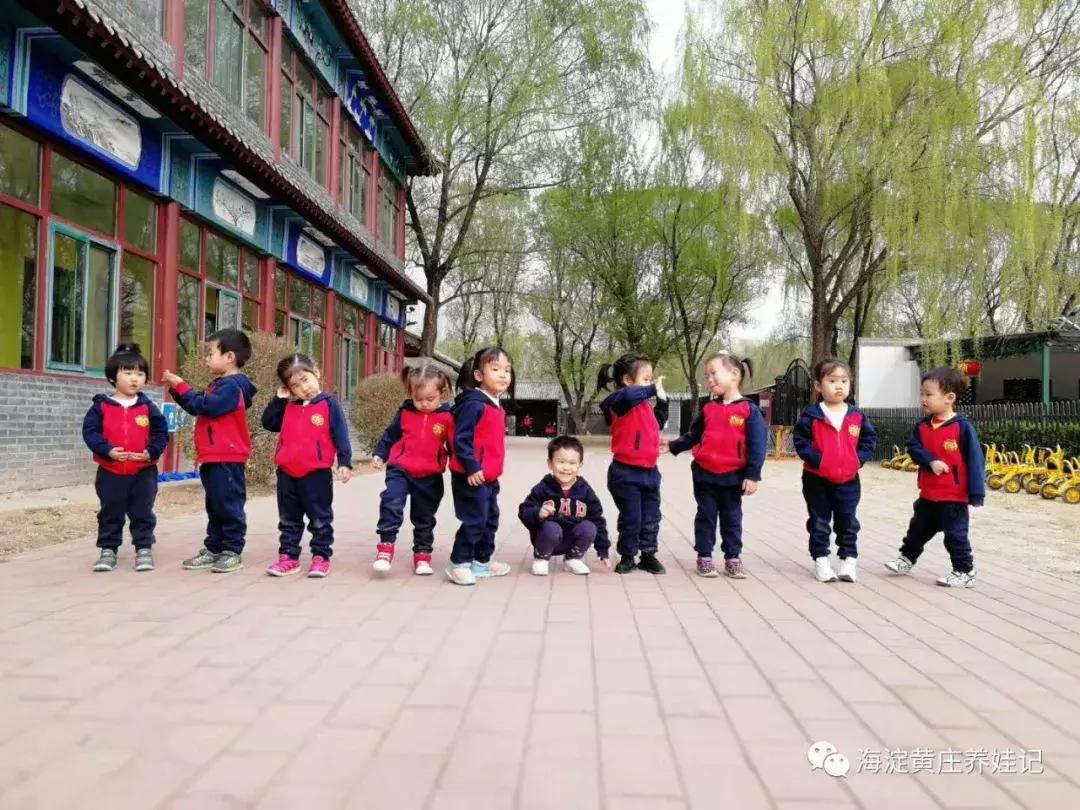 北京海淀2022幼儿园信息采集,2020年海淀区幼儿园信息采集