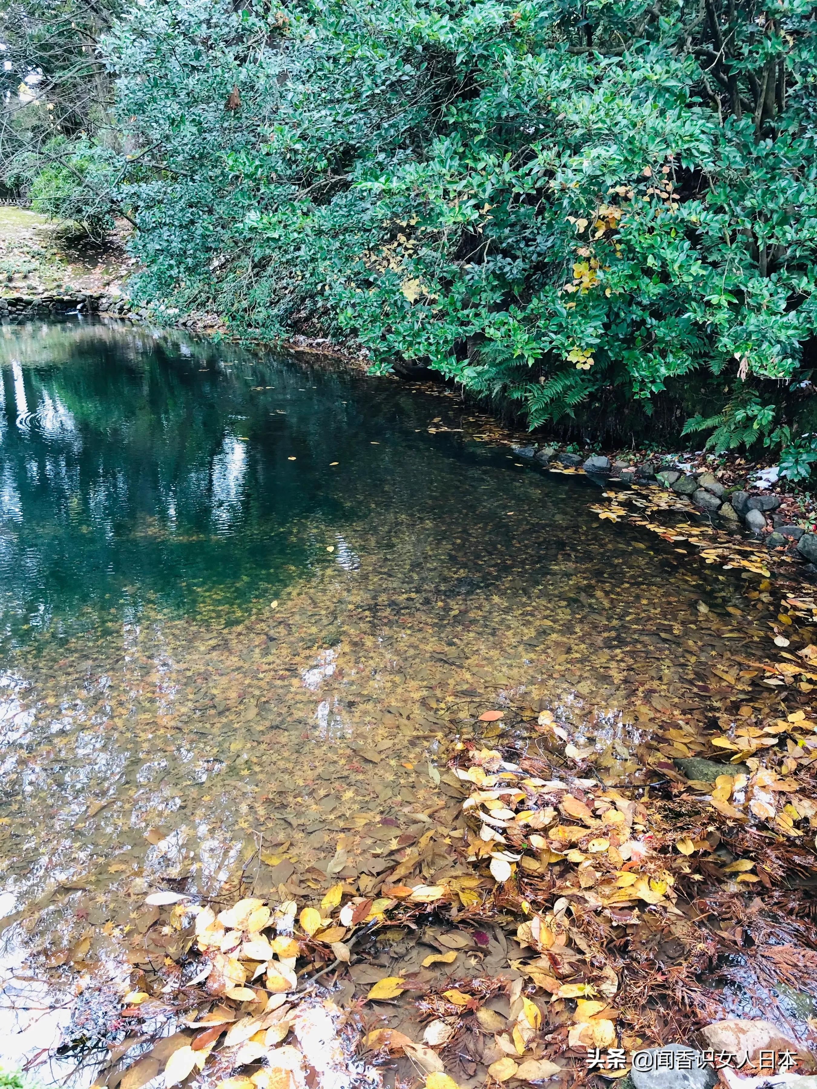 日本三大园林,日本三大名园之一