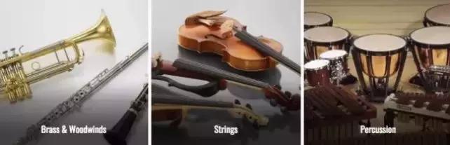 靠“*养包**”员工,逼疯同行!最不务正业的公司,在全球火了100年